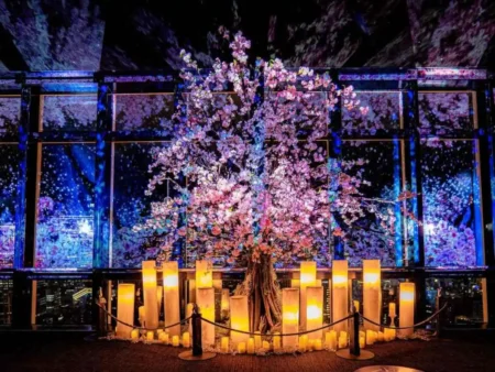 L'installazione di Naked, Inc. sulla Tokyo Tower