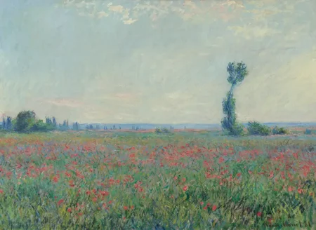 Claude Monet Campo di papaveri, 1881 Olio su tela, cm 58 x 79 Rotterdam, Collezione Museum Boijmans Van Beuningen. Acquisito con la collezione di D.G. van Beuningen