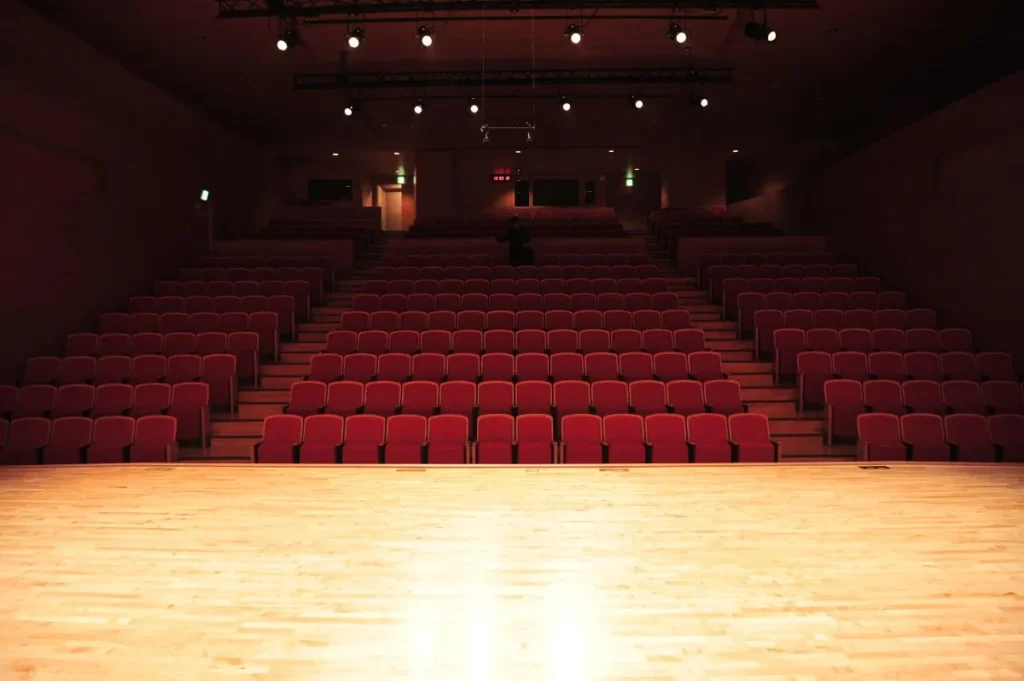 la platea di un teatro vista dal palco